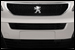 Peugeot Traveller grille photo à MONTFERRIER SUR LEZ chez Besnard Automobiles Sarl À MONTFERRIER SUR LEZ