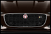 Jaguar F-TYPE CABRIOLET grille photo à  chez Elypse Autos